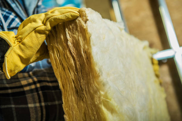 Best Residential Insulation in Harbor Bluffs, FL
