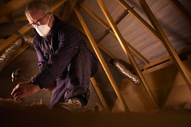 Best Insulation Installation Services in Harbor Bluffs, FL